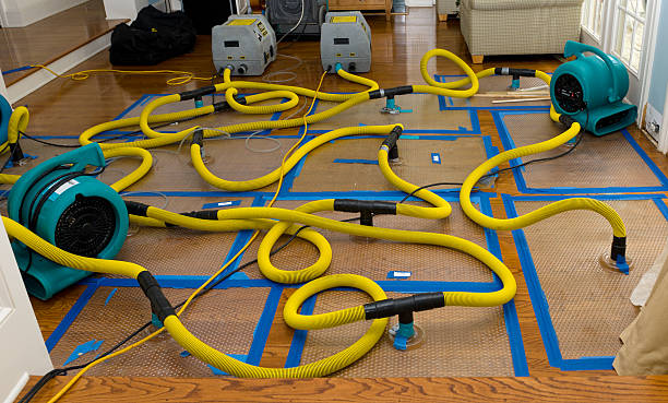 Professional Sewage Cleanup technician working in Granger, TX